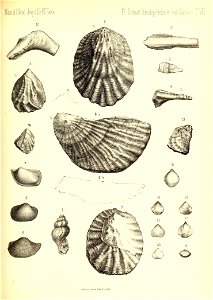n382_w1150