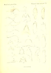 n612_w1150
