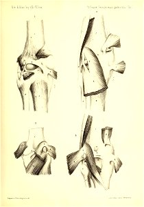 n338_w1150