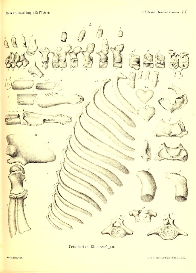n402_w1150