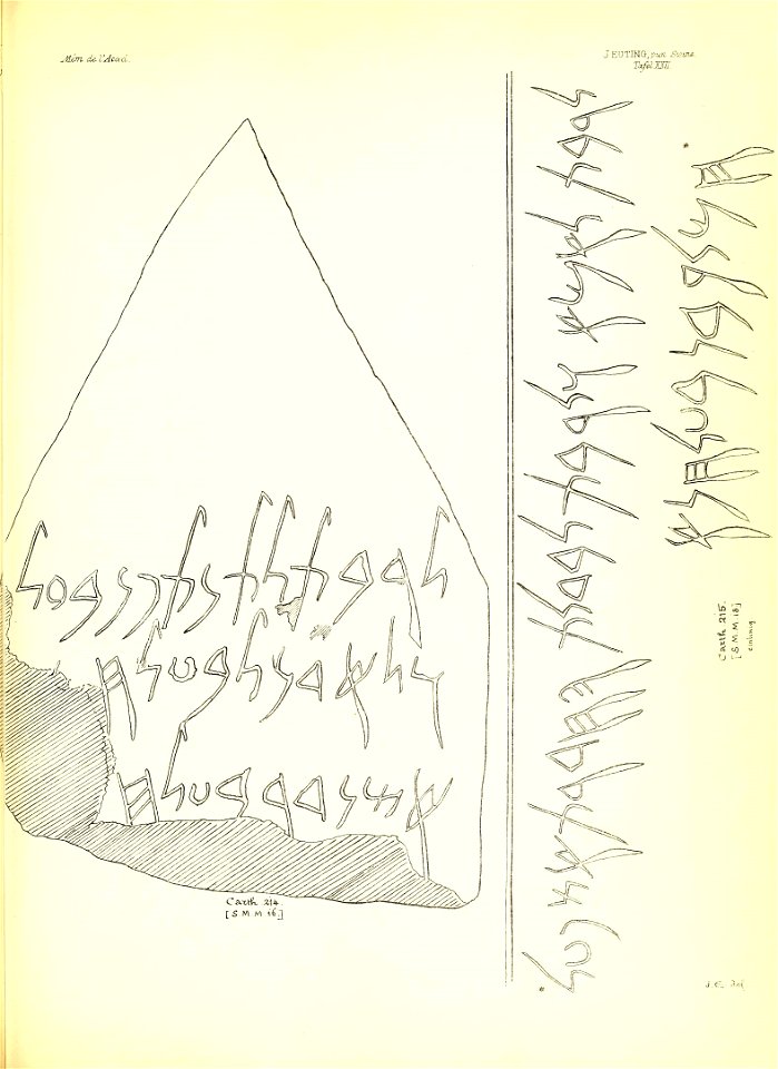 n298_w1150