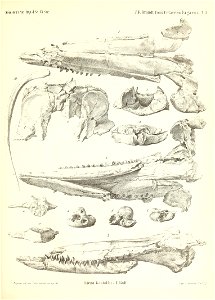 n638_w1150