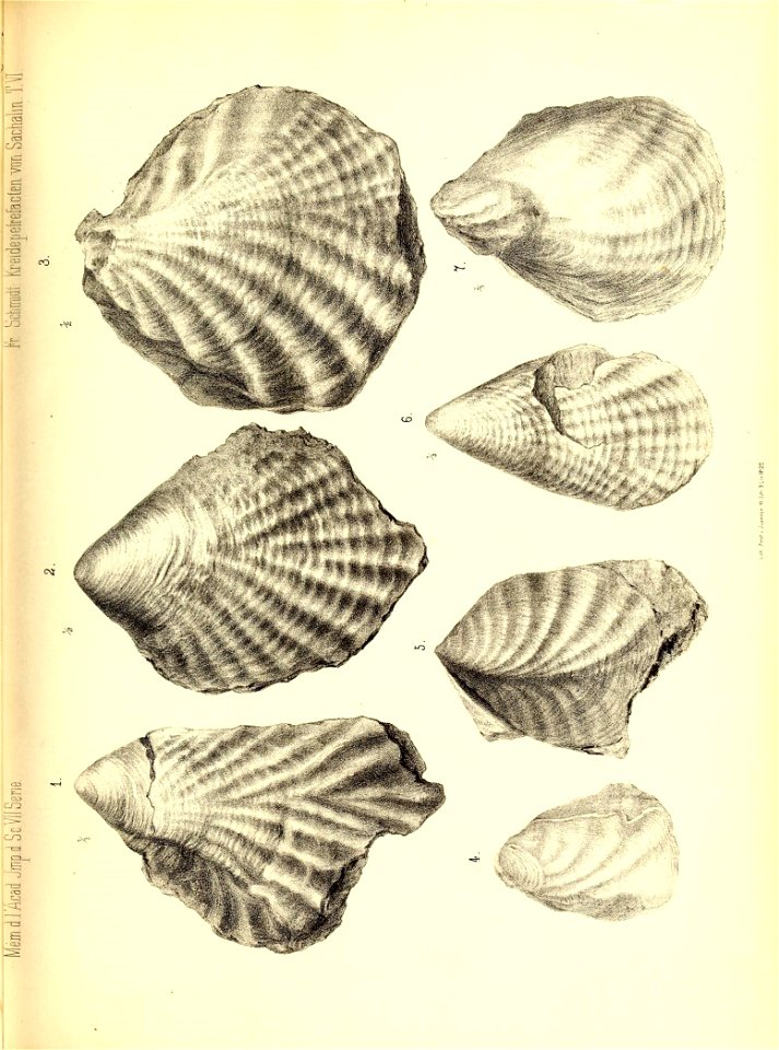 n378_w1150