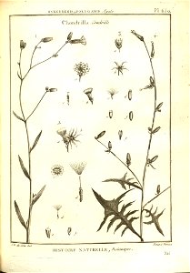 n153_w1150