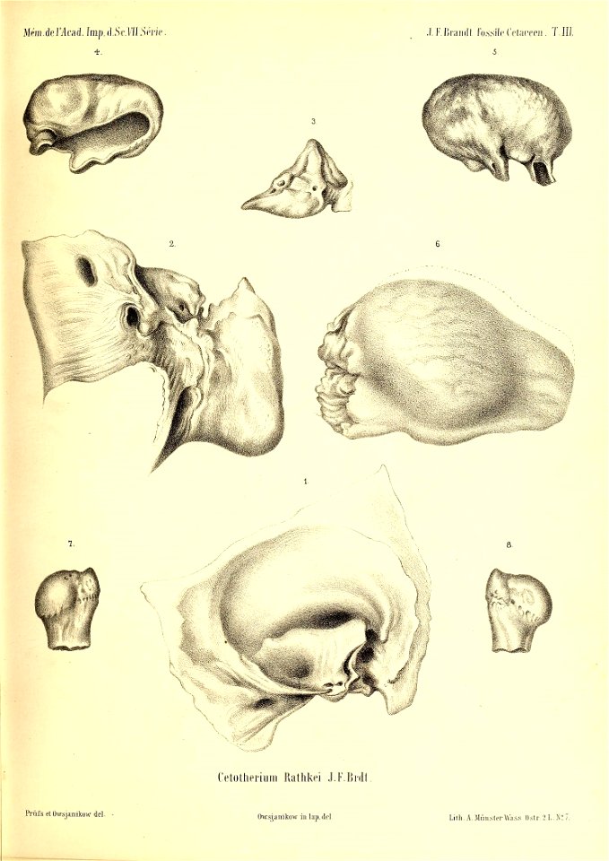 n398_w1150