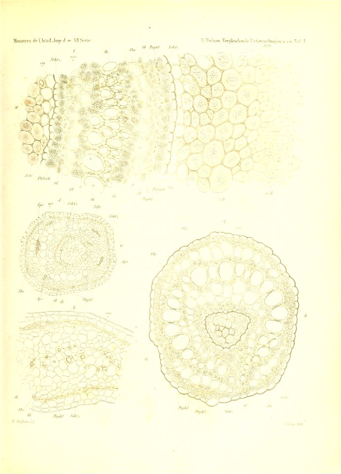 n234_w1150