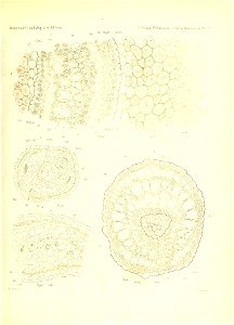 n234_w1150