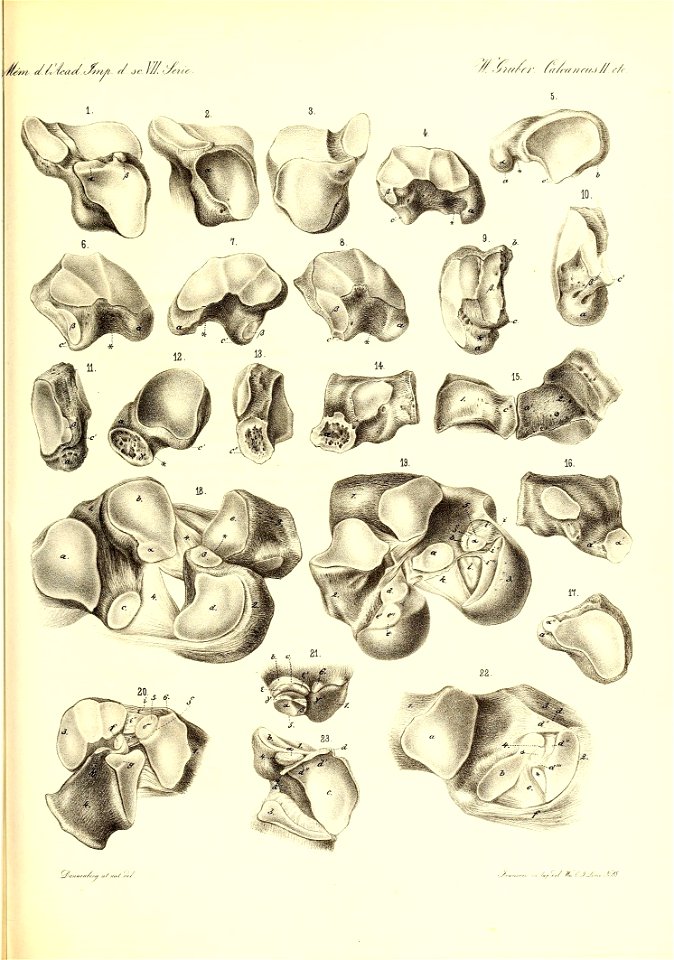 n490_w1150