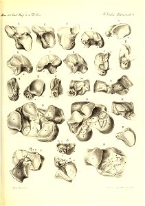 n490_w1150