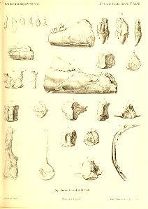 n456_w1150