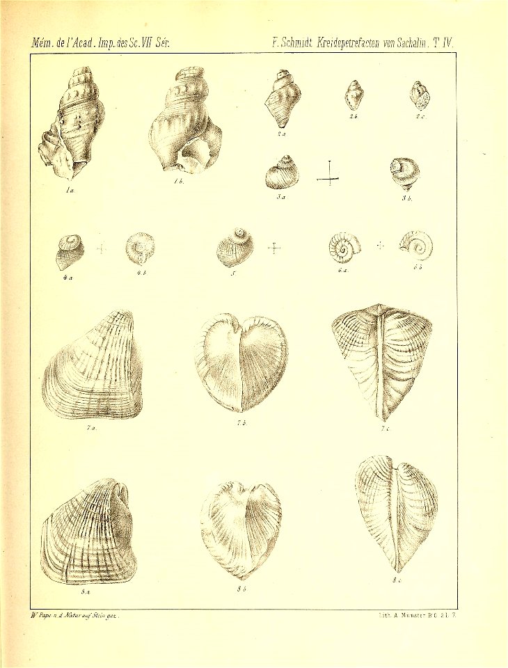 n374_w1150