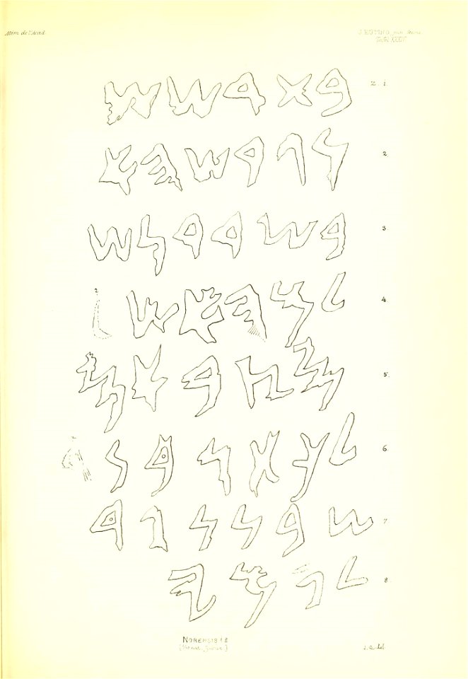 n336_w1150
