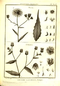n151_w1150