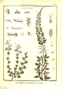 n121_w1150