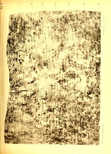 n446_w1150