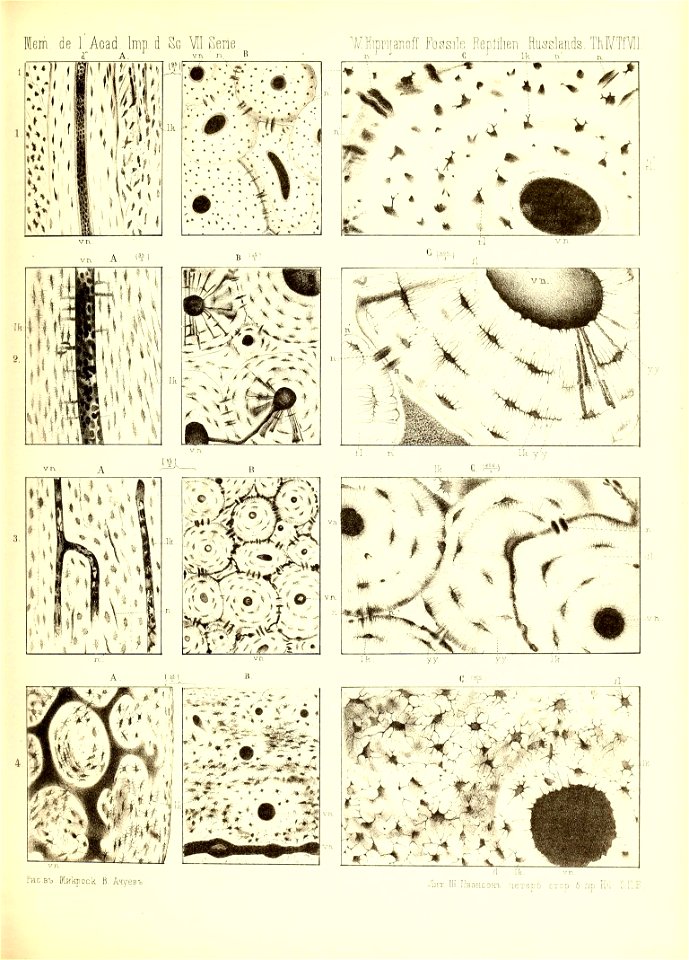 n464_w1150