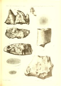 n396_w1150