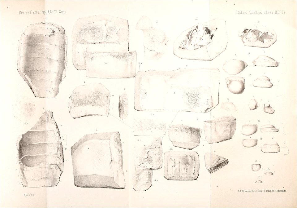 n294_w1150