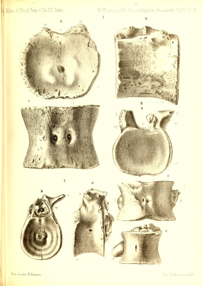 n562_w1150