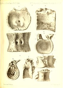 n562_w1150
