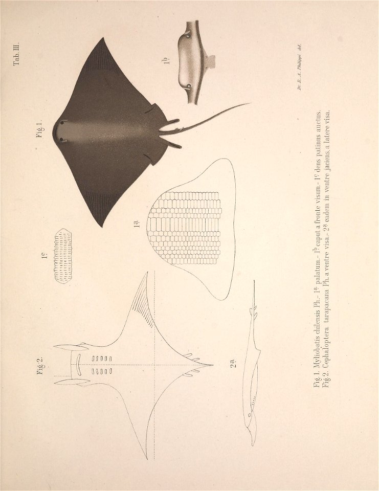 n32_w1150