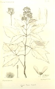 n272_w1150