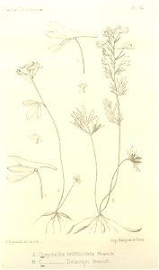 n257_w1150