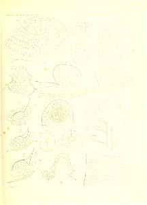 n248_w1150