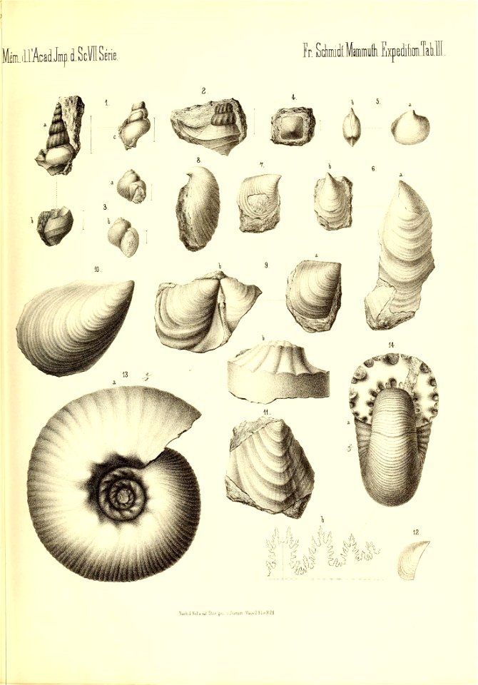 n188_w1150