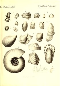 n188_w1150