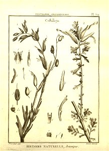 n21_w1150