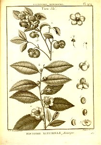 n226_w1150