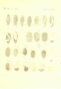 n898_w1150