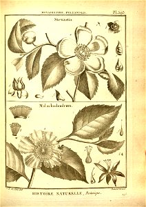n95_w1150