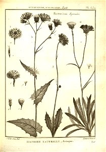 n155_w1150