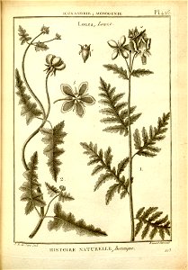 n178_w1150