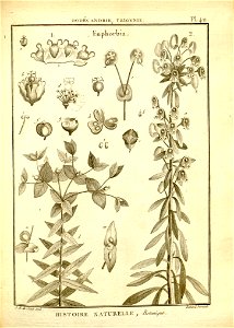 n163_w1150