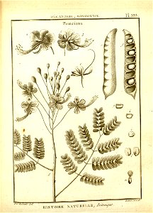n85_w1150