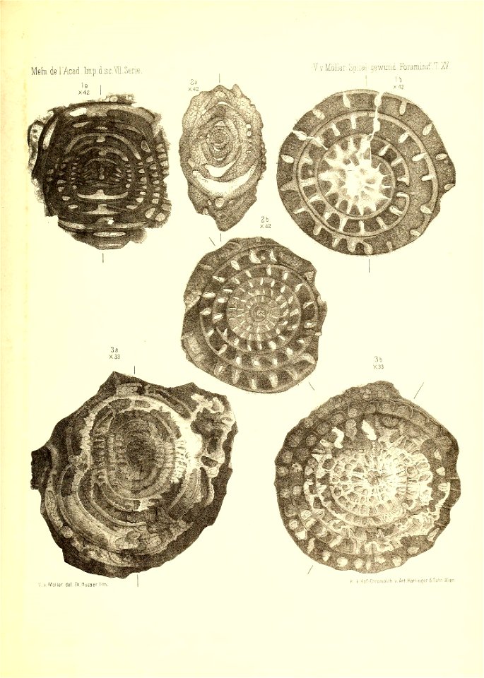 n916_w1150