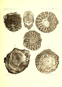 n916_w1150