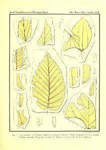 n384_w1150