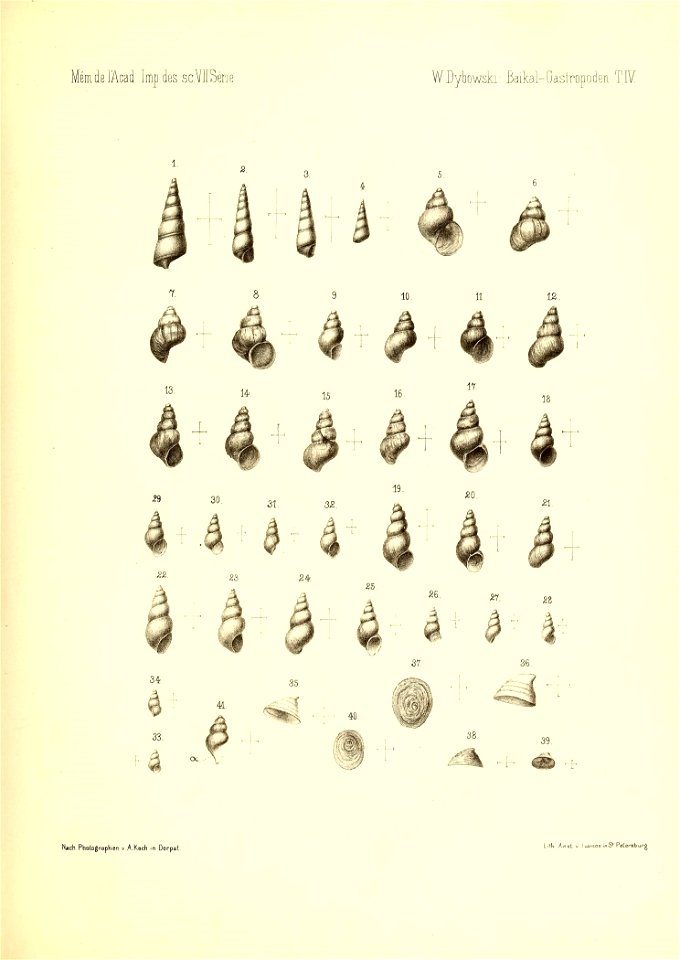 n604_w1150