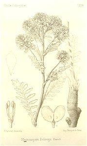 n259_w1150