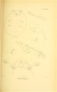 n202_w1150