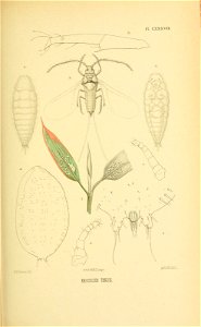n156_w1150