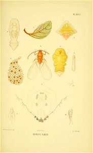 n168_w1150