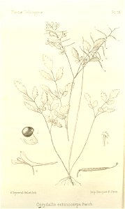 n258_w1150