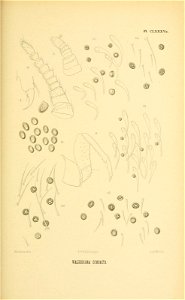 n374_w1150