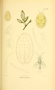 n254_w1150