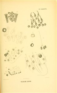 n368_w1150